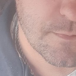 �����, ���������, 40 ���