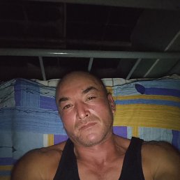  , 41, 