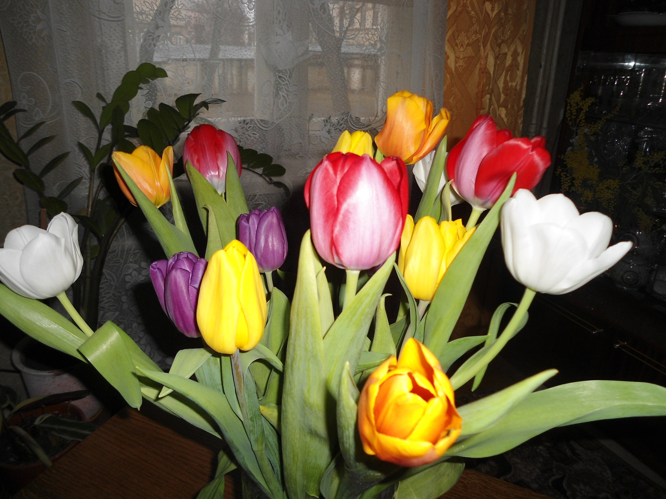  -  ! - 7  2024  12:43