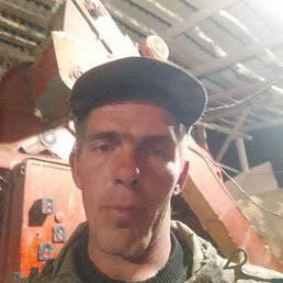 , 34 , 