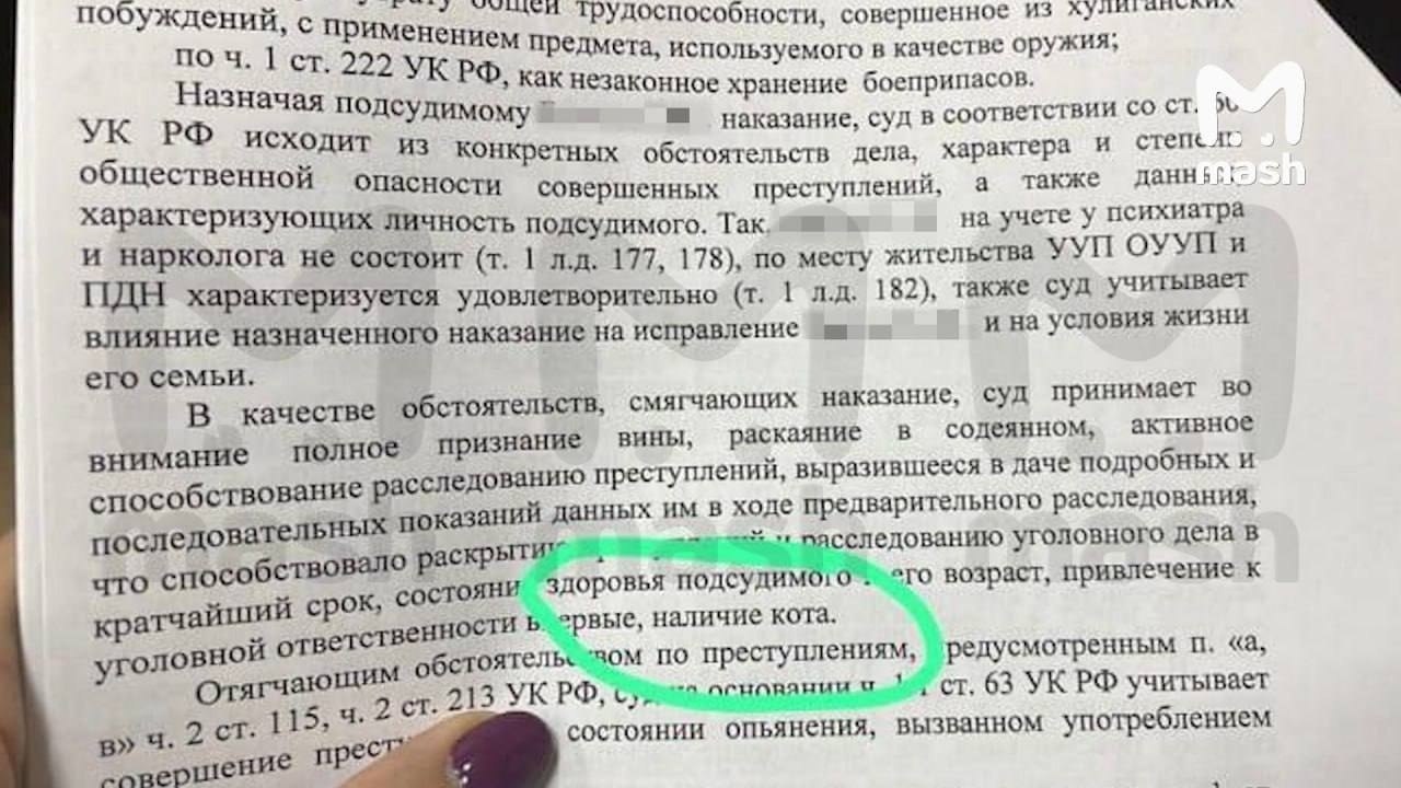 В России впервые кот стал смягчающим обстоятельством для преступника и спас его от тюрьмы. Мужик из ...