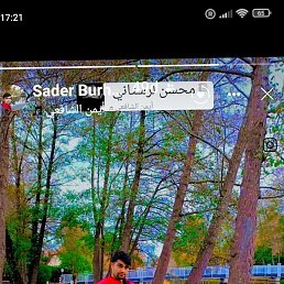 Murat, ������, 38 ���