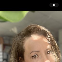 , 41, 