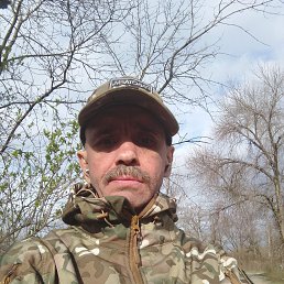 , 53, 