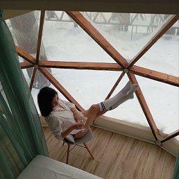 ���� �����, �����������, 43 ���� - ��������� 12 ������� 2026