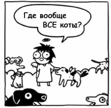  - 17  2025  13:06 - 3