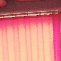 �����, ������, 38 ���