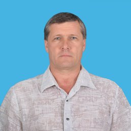 , 65, 