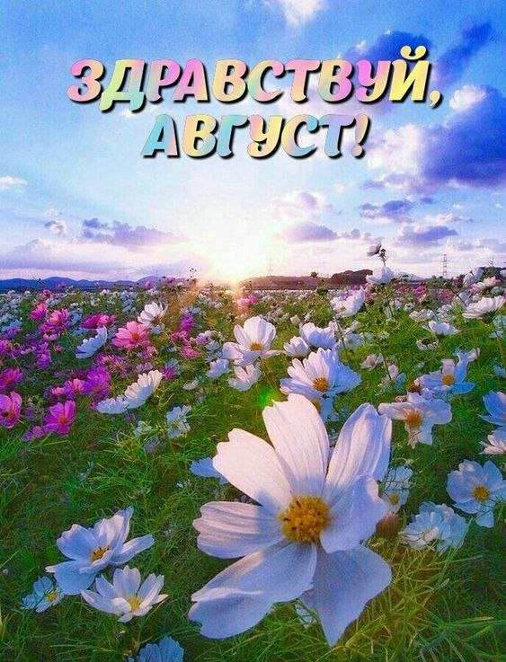 ₪╬═►  ||  ||  ◄═╬₪ - 1  2024  05:36