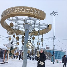 ���� ����, ����������, 62 ���� - ��������� 2 ������ 2026