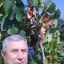 ���� ������, ����, 70 ��� - ��������� 12 ����� 2024