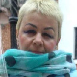 ��������, �����, 44 ����