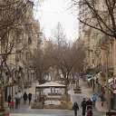 ���� ������, ��������, 65 ��� - ��������� 29 ���� 2024 � ������ ���� ����������