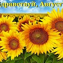 ���� �����, ������ - ��������� 1 ������� 2026 � ������ ������ ��������