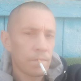 ������, �������, 41 ���