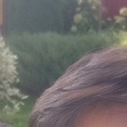 �����, ������, 59 ���