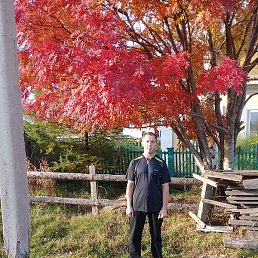 ������, ����, 46 ���