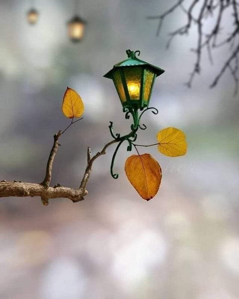 https://fotostrana.ru/away?to=/sl/s7G6***************************************************