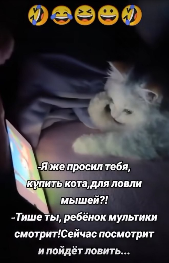  - 1  2025  08:23