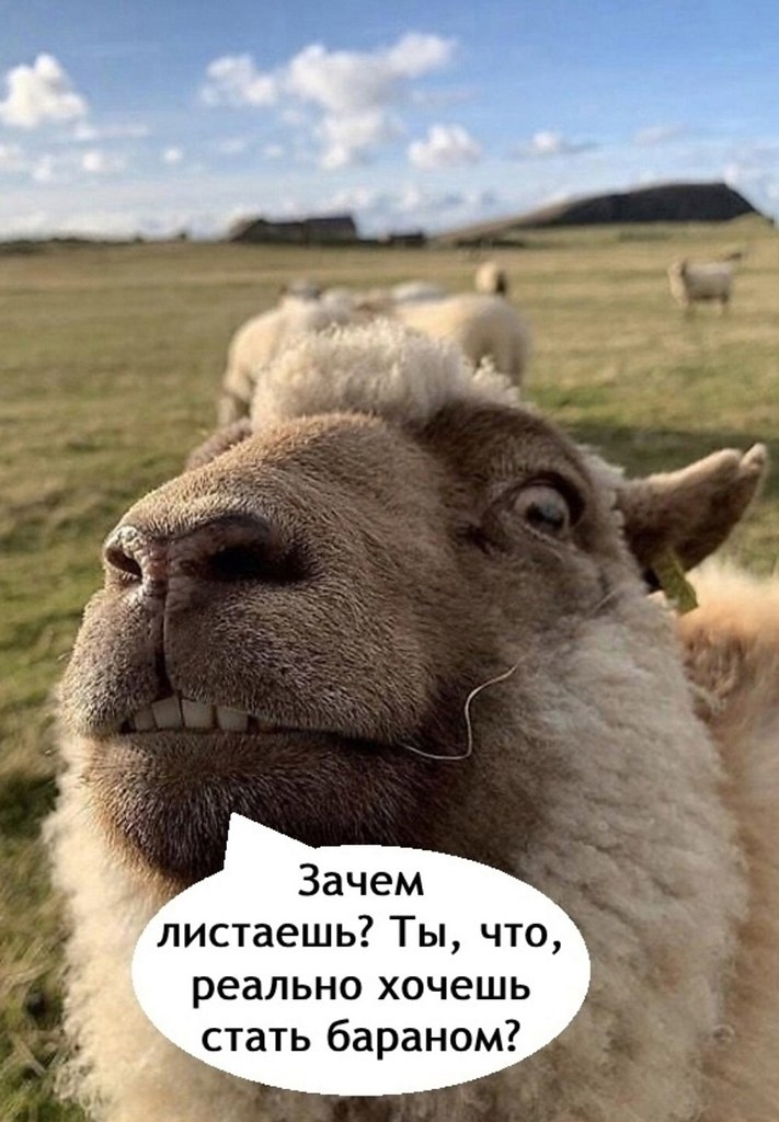 Не листайте этот пост - 3