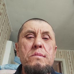 , 55, 