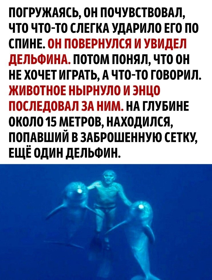       - 2