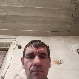 ���� ������, �����, 42 ���� - ��������� 14 ������� 2025