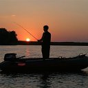 ���� �������, ������, 38 ��� - ��������� 11 ������� 2024 � ������ ���� ����������