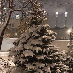 ���� �����, ������, 38 ��� - ��������� 3 ������ 2026