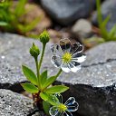 ���� �����, ����� - ��������� 20 ������ 2025 � ������ ���� ����������