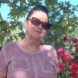 �������, �����������, 66 ���