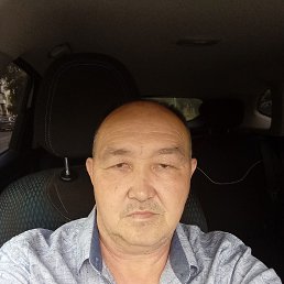 ���, 46 ���, ���������