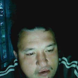 �����, ������, 37 ���