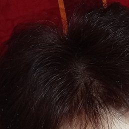 ������, �������������-����������, 57 ���