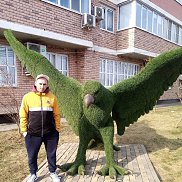 ��������, 38 ���, �����������