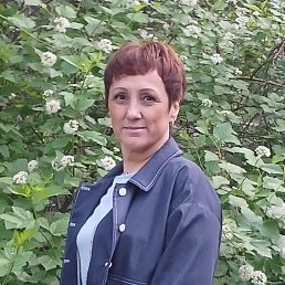 , 53, 
