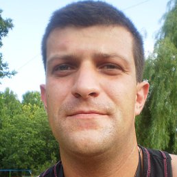 �����, �������, 44 ����