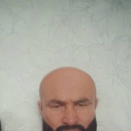 , 51, -
