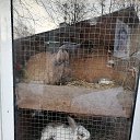 ���� �������, ������, 58 ��� - ��������� 21 ����� 2026 � ������ ���� ����������