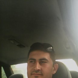 �����, �����������, 38 ���