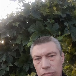 , 46 , 