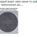 ���� ������, �������-��������� - ��������� 31 ������ 2026 � ������ ���� ����������