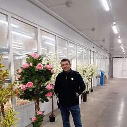 Zaur, 39, 