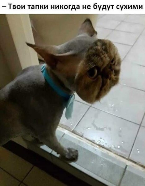 :)