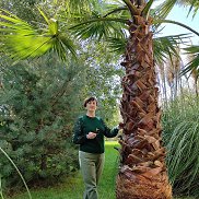 �������, 59 ���, ������