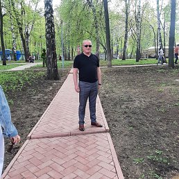 , 54, 