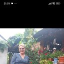  , -, 55  -  19  2025    