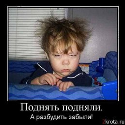 ����, ����, 64 ����