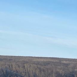 �������, ���������, 40 ���