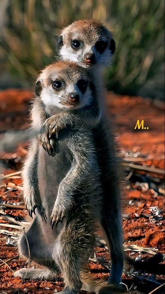   ,     .   ,   ... - 6